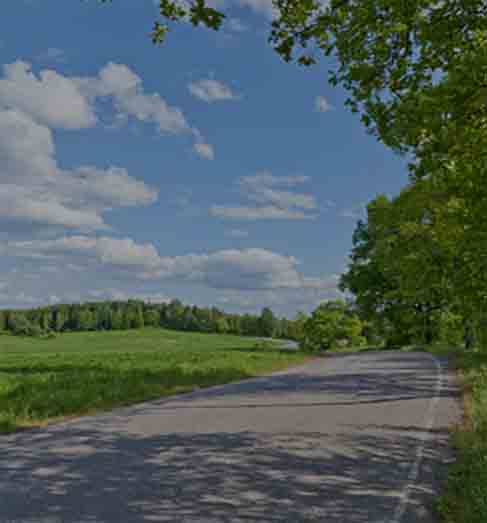 Sunny road in summer